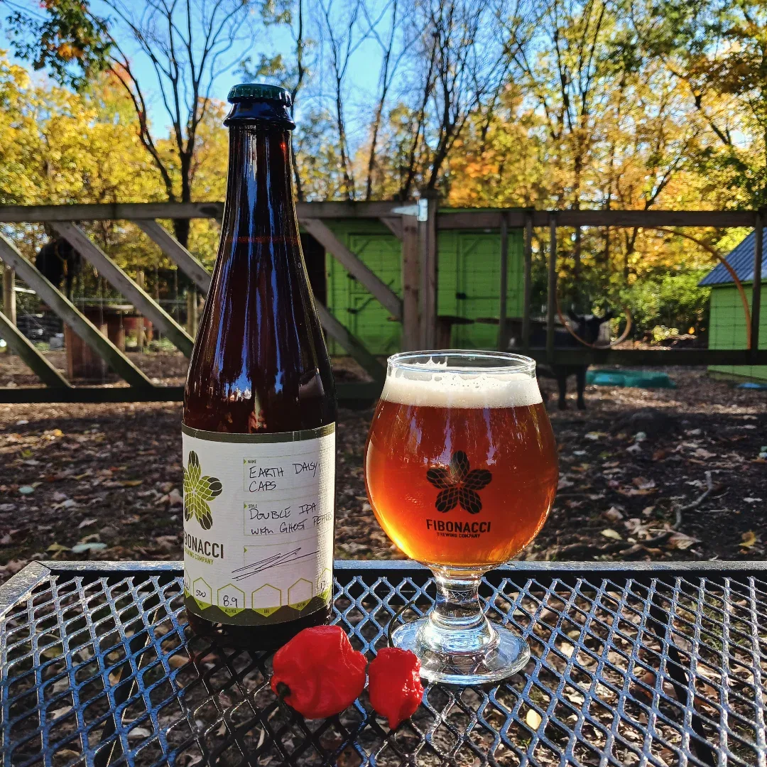 Earth Daisy Caps, a Fibonacci double IPA